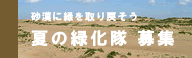 砂漠緑化ツアー