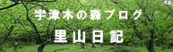宇津木の森ブログ