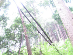 �X�̃v���[���g�g�уT�C�g