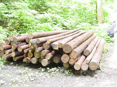 �X�̃v���[���g�g�уT�C�g