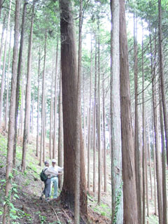 �X�̃v���[���g�g�уT�C�g