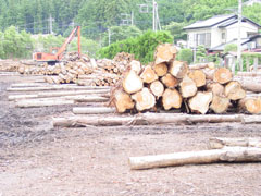 �X�̃v���[���g�g�уT�C�g