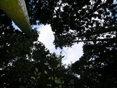 �X�̃v���[���g�g�уT�C�g