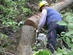 �X�̃v���[���g�g�уT�C�g