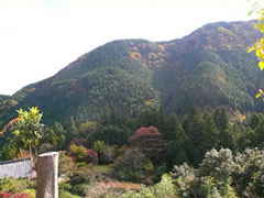 �X�̃v���[���g�g�уT�C�g