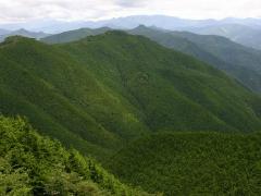 �X�̃v���[���g�g�уT�C�g