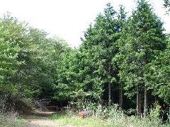 �X�̃v���[���g�g�уT�C�g